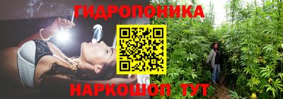 Альфа ПВП Пугачёв