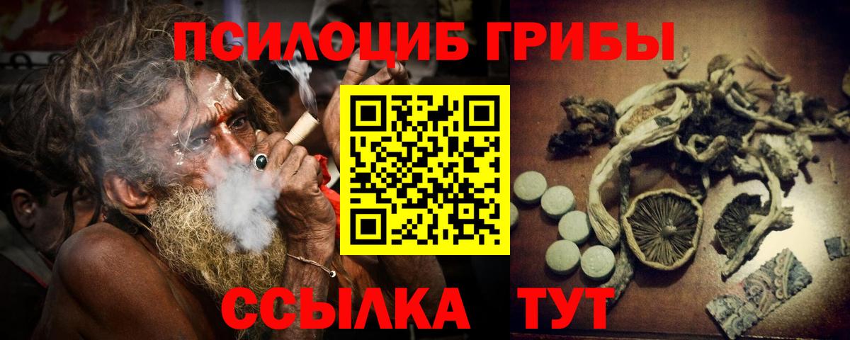 Саратов  Галлюциногенные грибы Psilocybine cubensis  Вход с VPN 